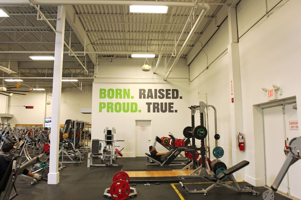  Jersey Strong Gym