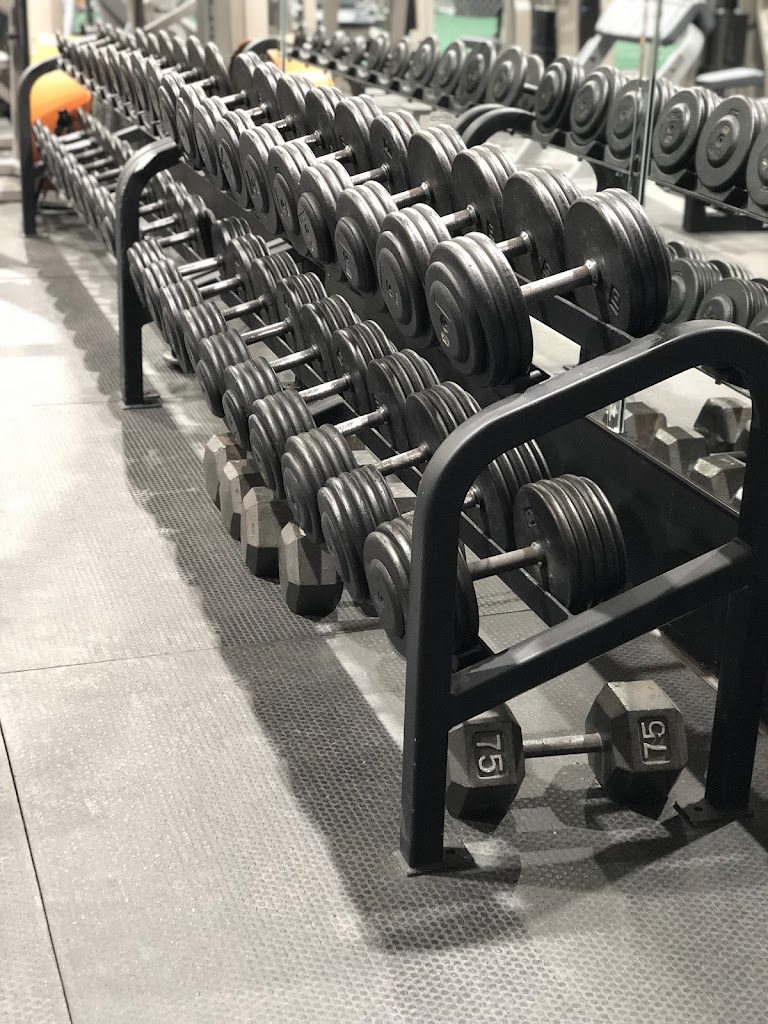  Pro1 Training+Fitness