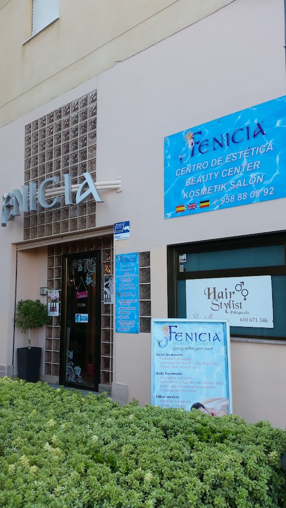 Estetica Fenicia