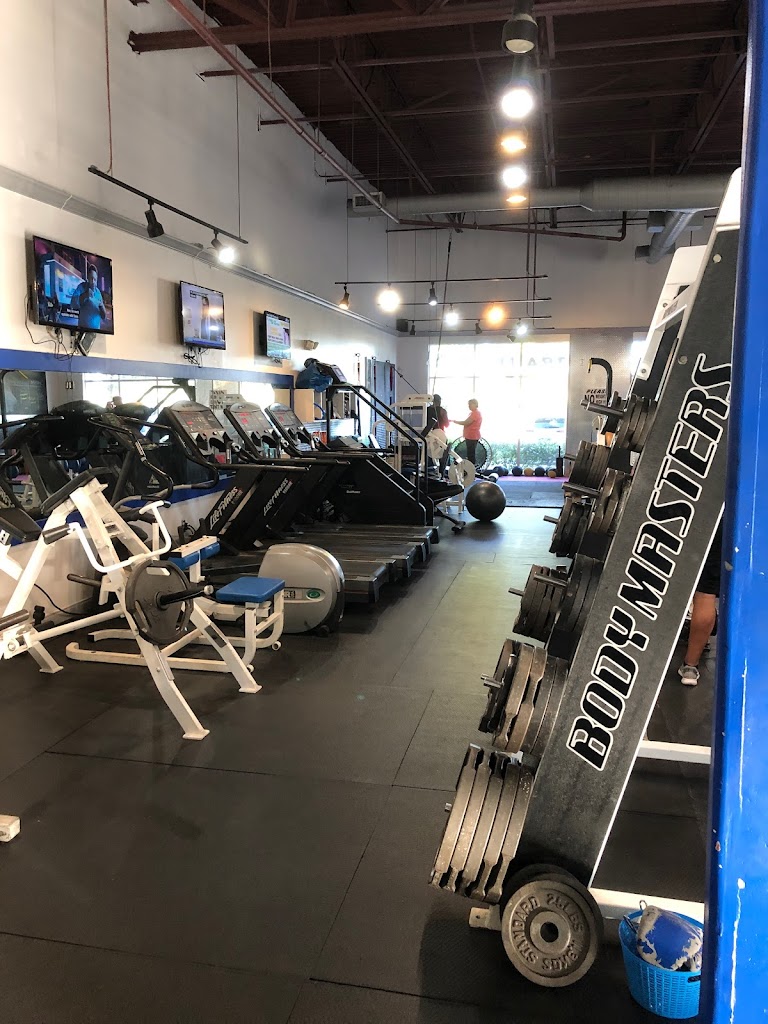  Davie Fit Bodies Gym
