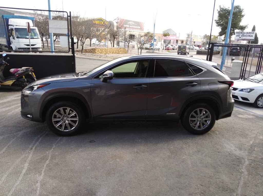 Loguicar Alicante — Del propietario