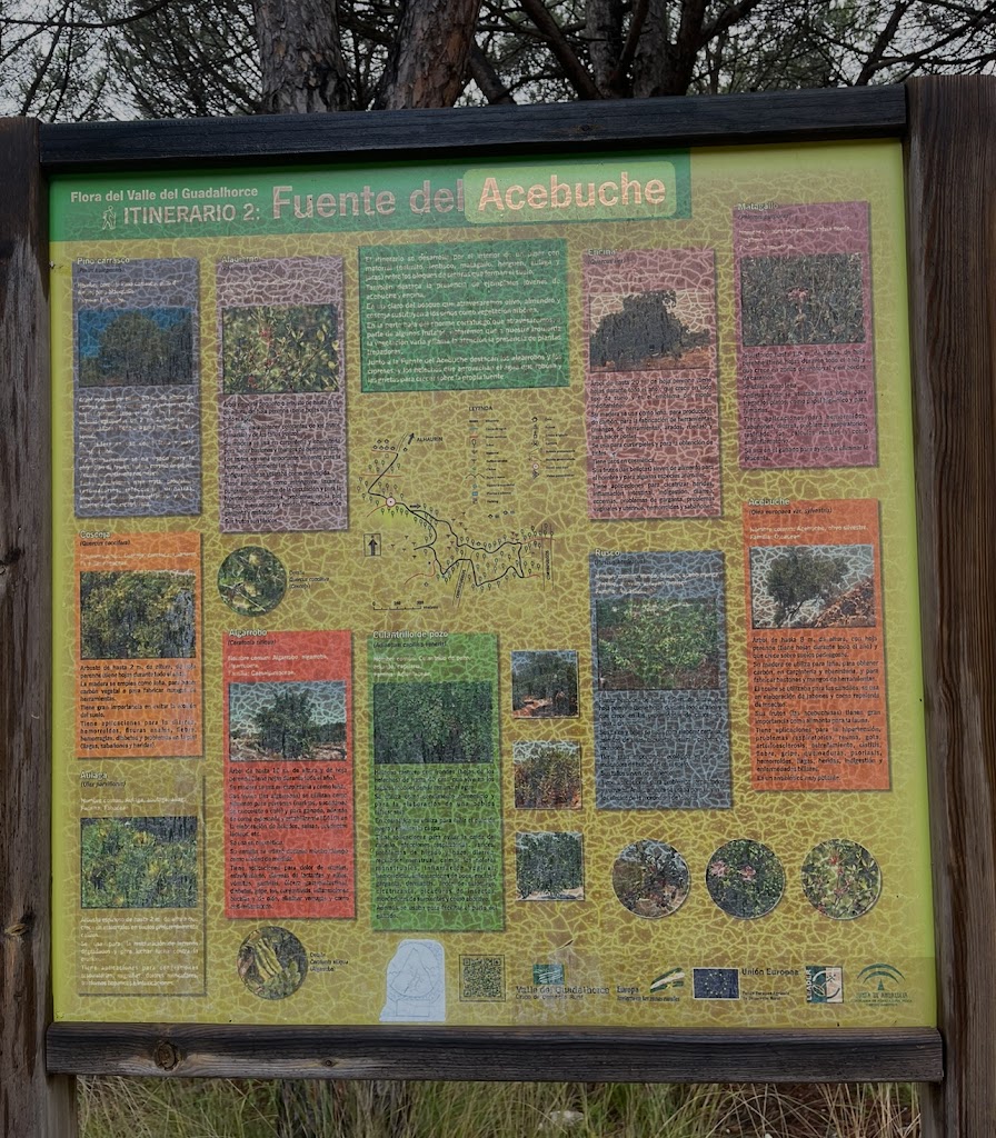 Sendero Fuente Del Acebuche — Mas recientes