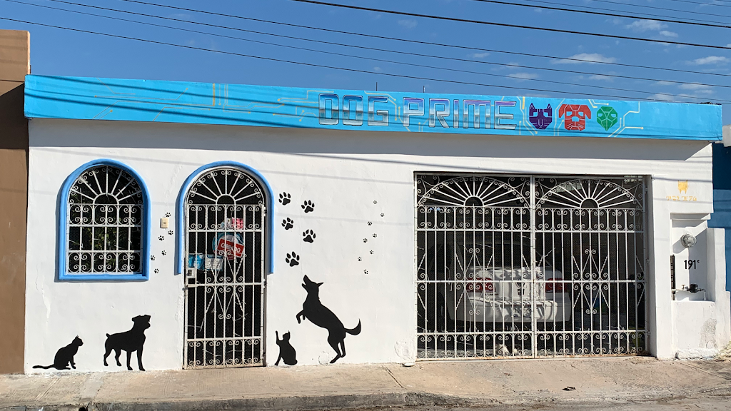Consultorio Veterinario Dog prime