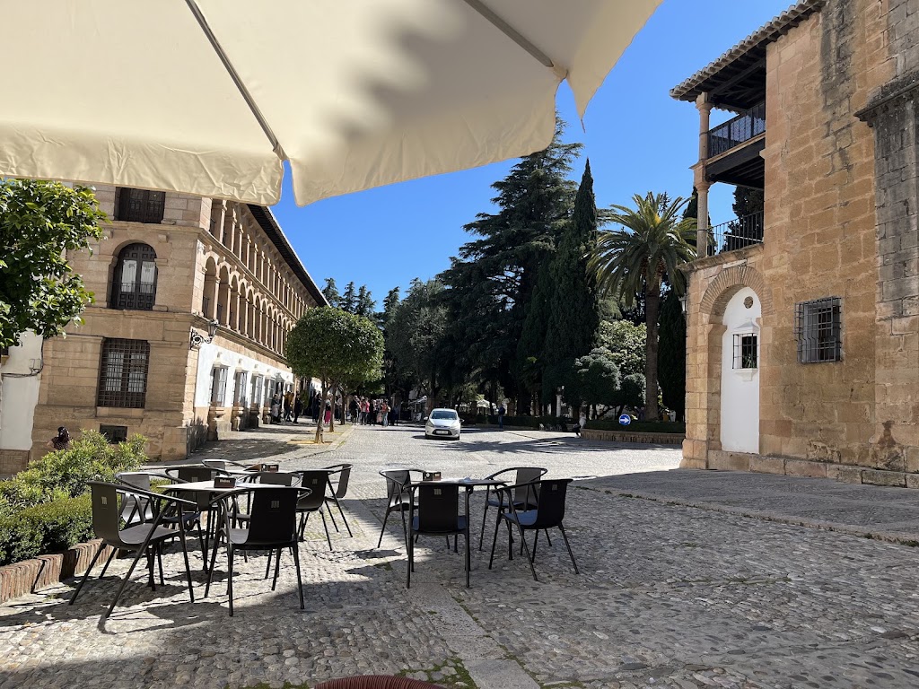 Meson El Sacristan — Mas recientes