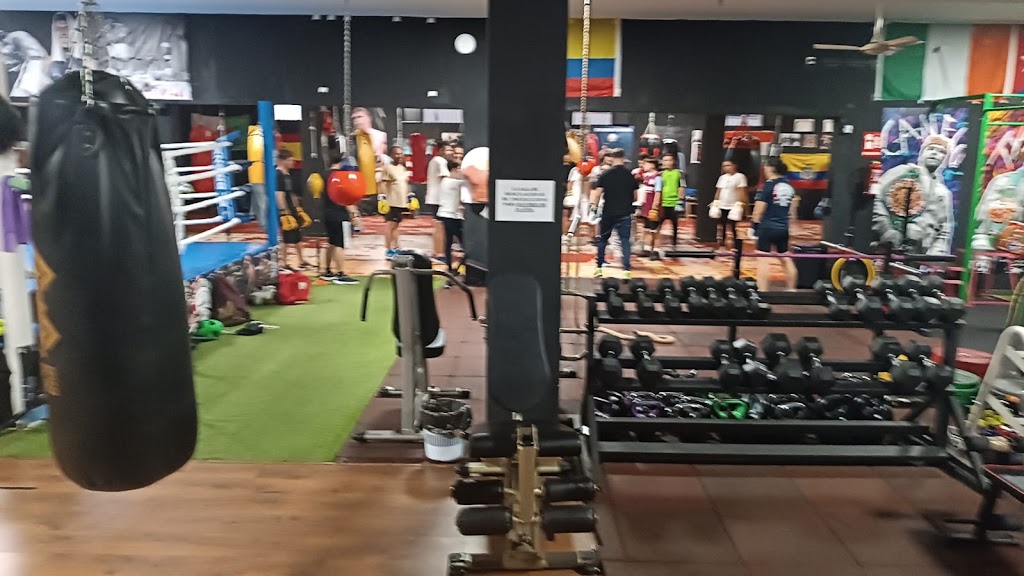 Club Boxeo Mano de Piedra Mairena del Aljarafe — Gimnasio
