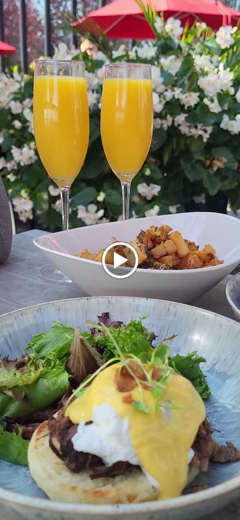Mimosa