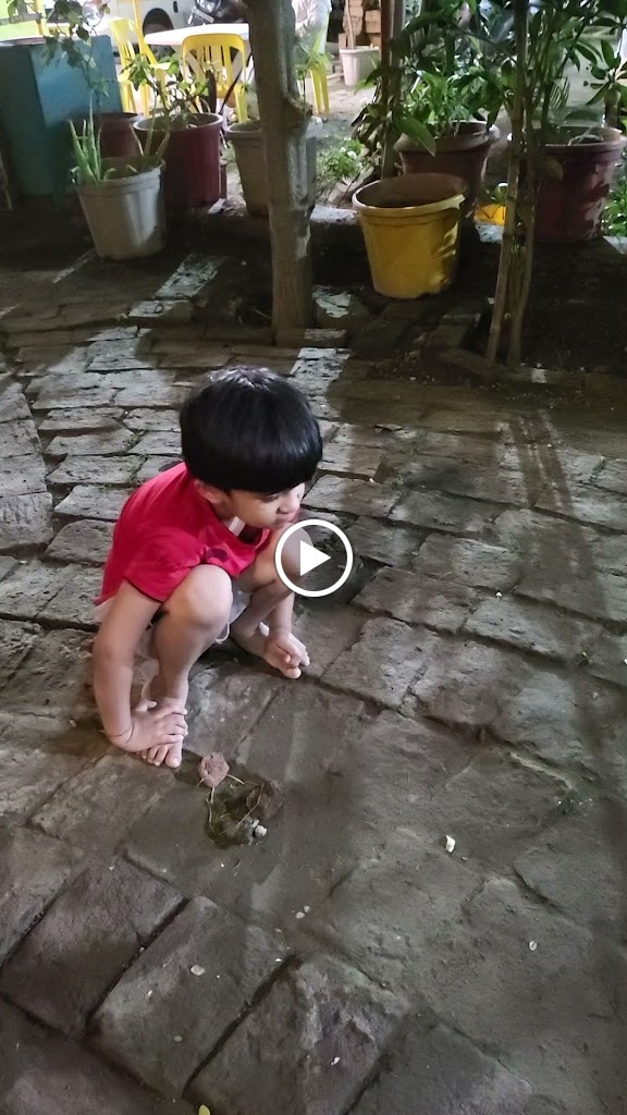 Videos