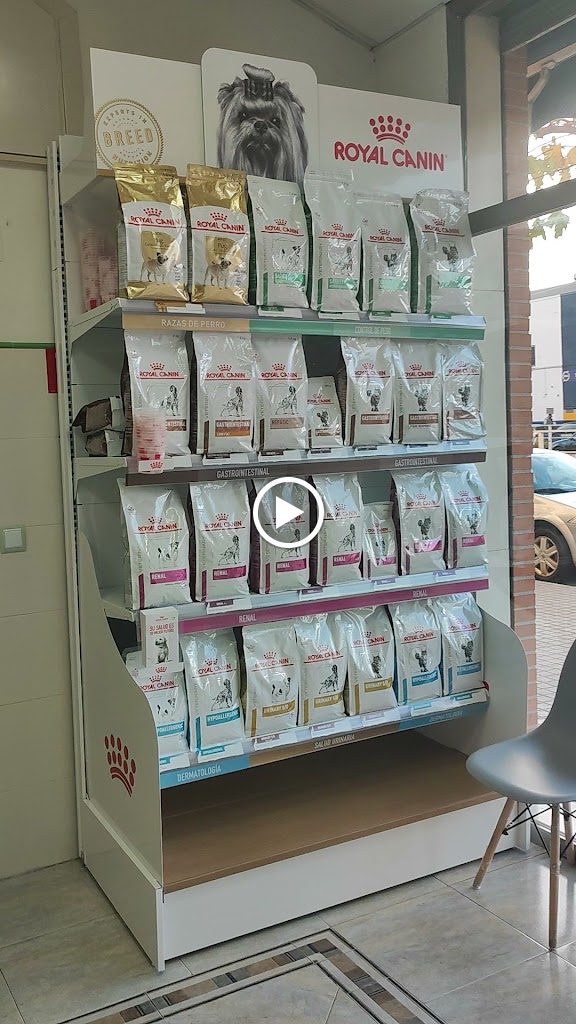 CLINICA VETERINARIA CAP I CUA — Videos