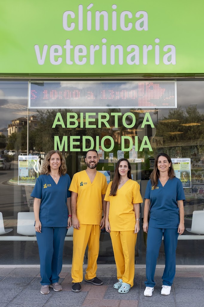 Clinica Veterinaria ONE - Veteando con Maria
