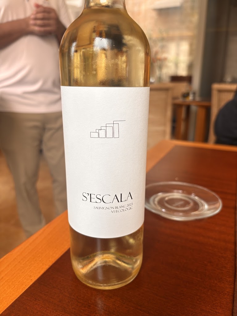Q11 restaurant pollenca — Mas recientes