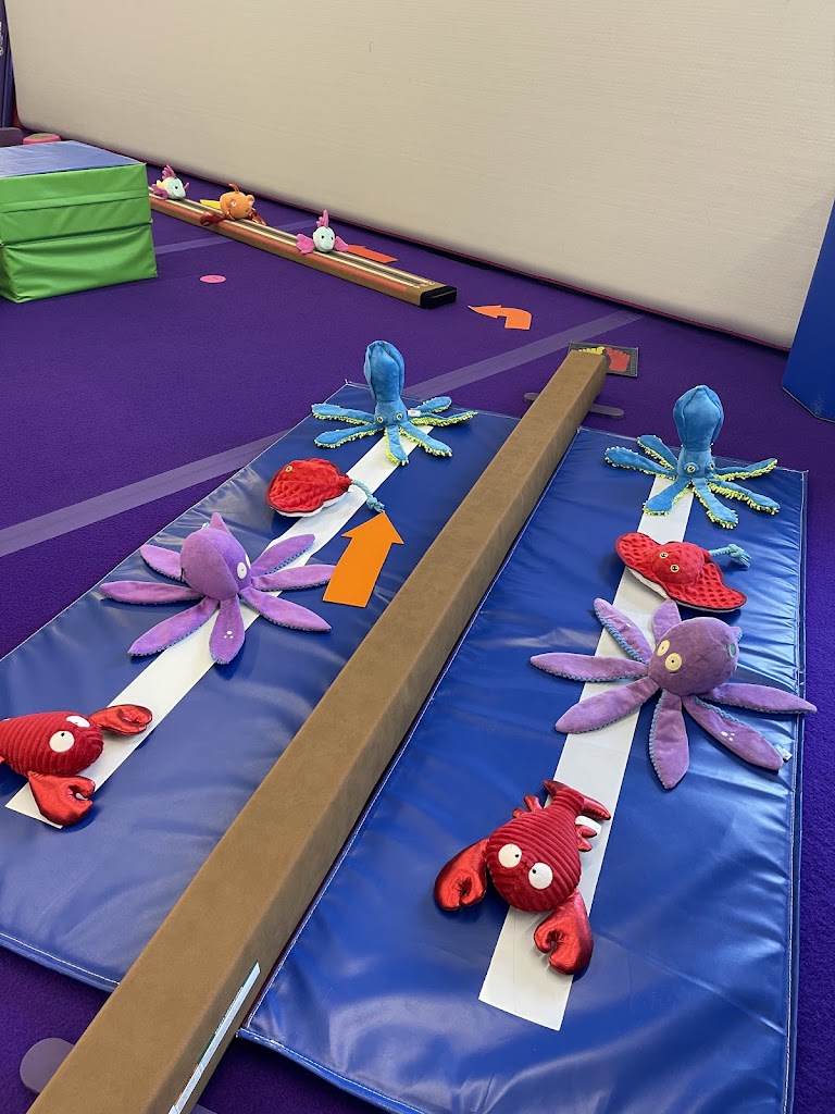  Walla Walla Gymnastics & Tumble Bigs