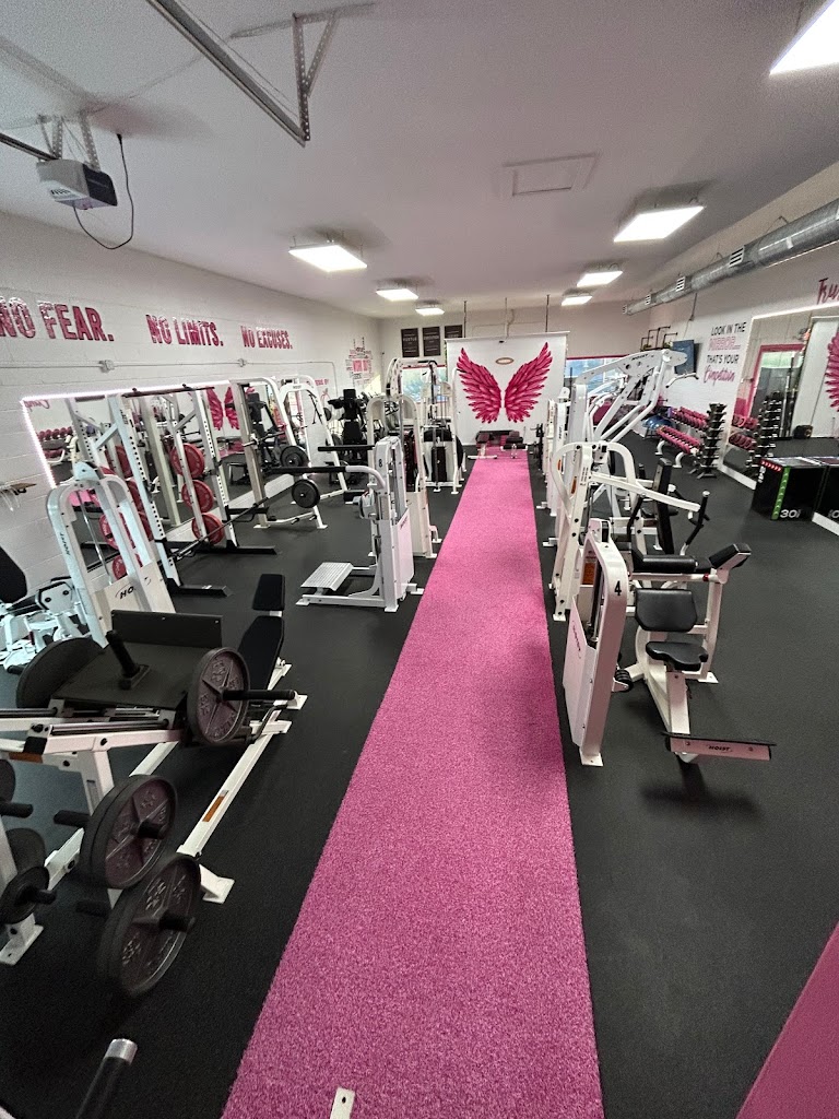  The Pink Gym Fitness by XO