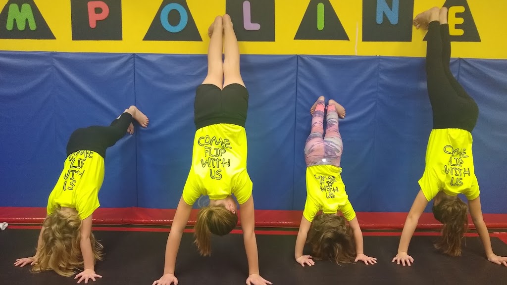  Ms Miki's Gymnastics