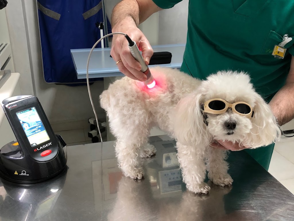 CLINICA VETERINARIA PASEO DE LA ESTACION. ABIERTO 24 H. — Del propietario
