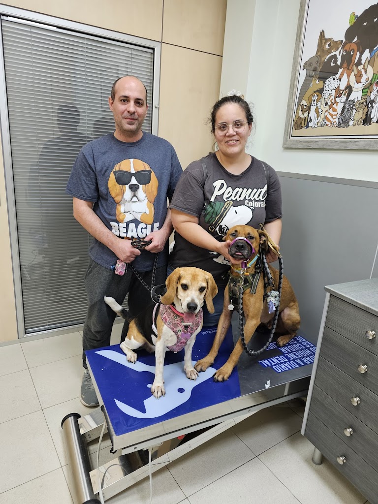 Clinica Veterinaria Anavets