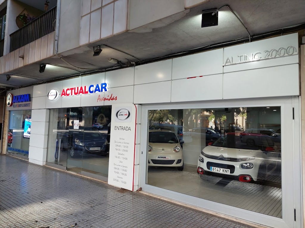 Actualcar Avenidas — Del propietario