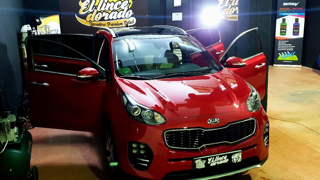 El Lince Dorado Premium Detail