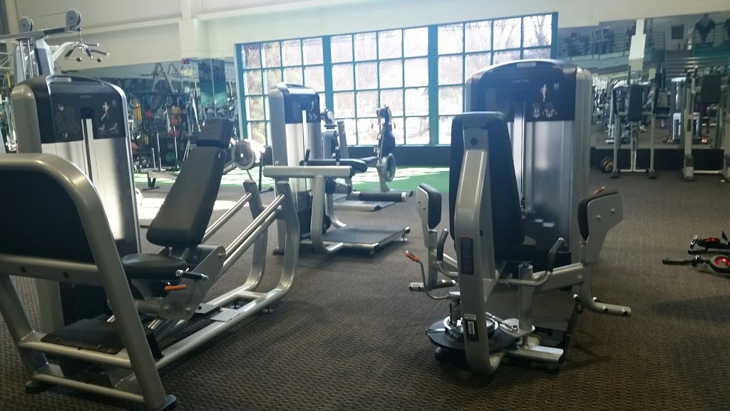  The Forum of Salisbury