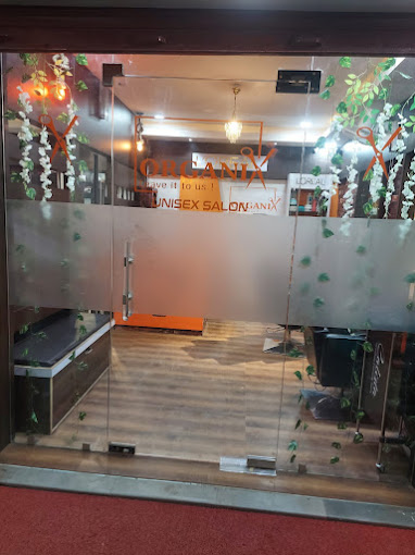 Organix Salon Hair Spa Best Makeup Salon In Mau Makeover Hair Care Centre In Mau Top Beauty Salon Salons In Mau