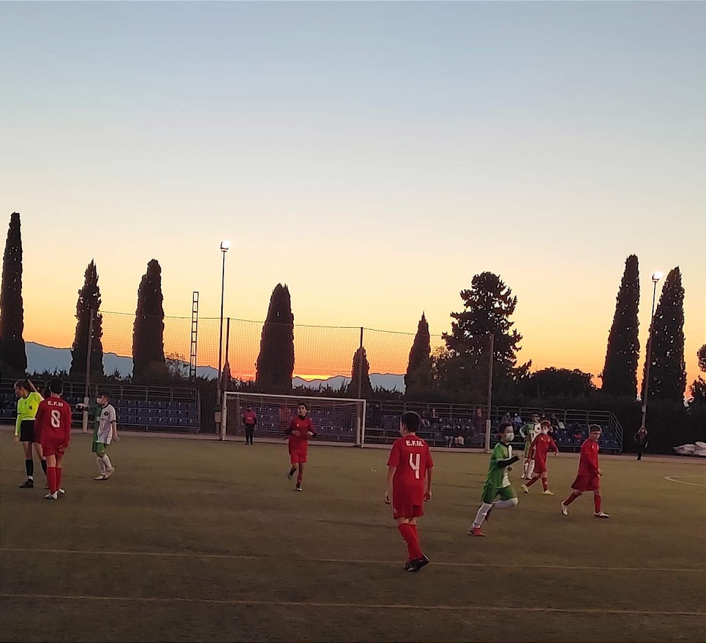 Polideportivo El Romeral