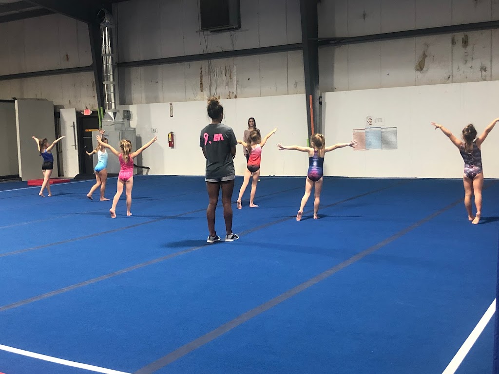  Leading Edge Gymnastics Academy