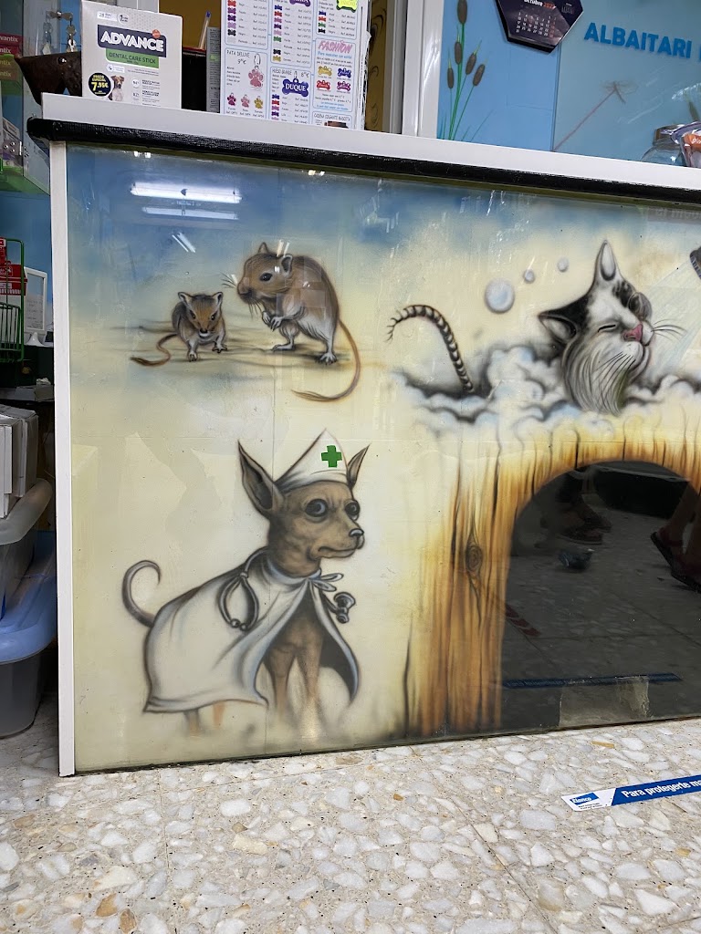 Nagusi | Veterinario Hernani | Peluqueria canina Hernani — Del propietario