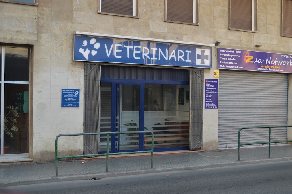 Consulta Veterinaria Coll d'en Rabassa — Del propietario