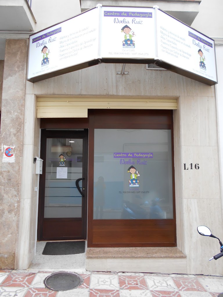 Centro de Pedagogia Noelia Ruiz