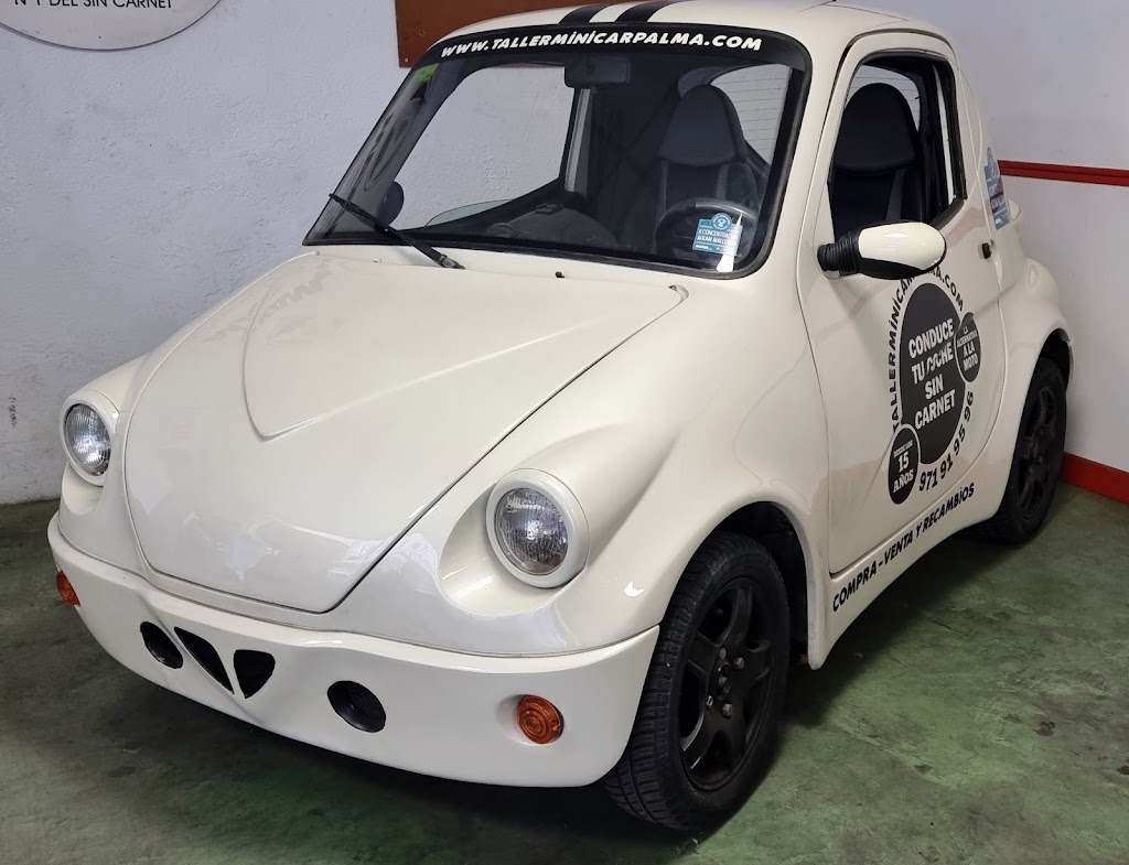 Taller Minicar Palma — Del propietario