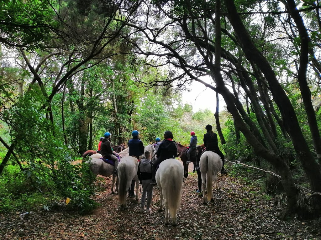 Centro Hipico del Castillo