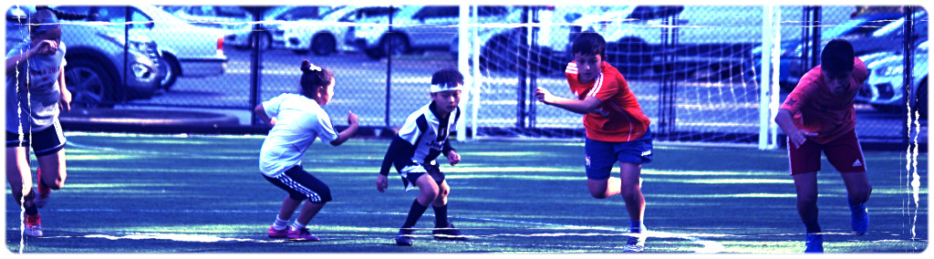  Mike Wick Sports & Fitness Training