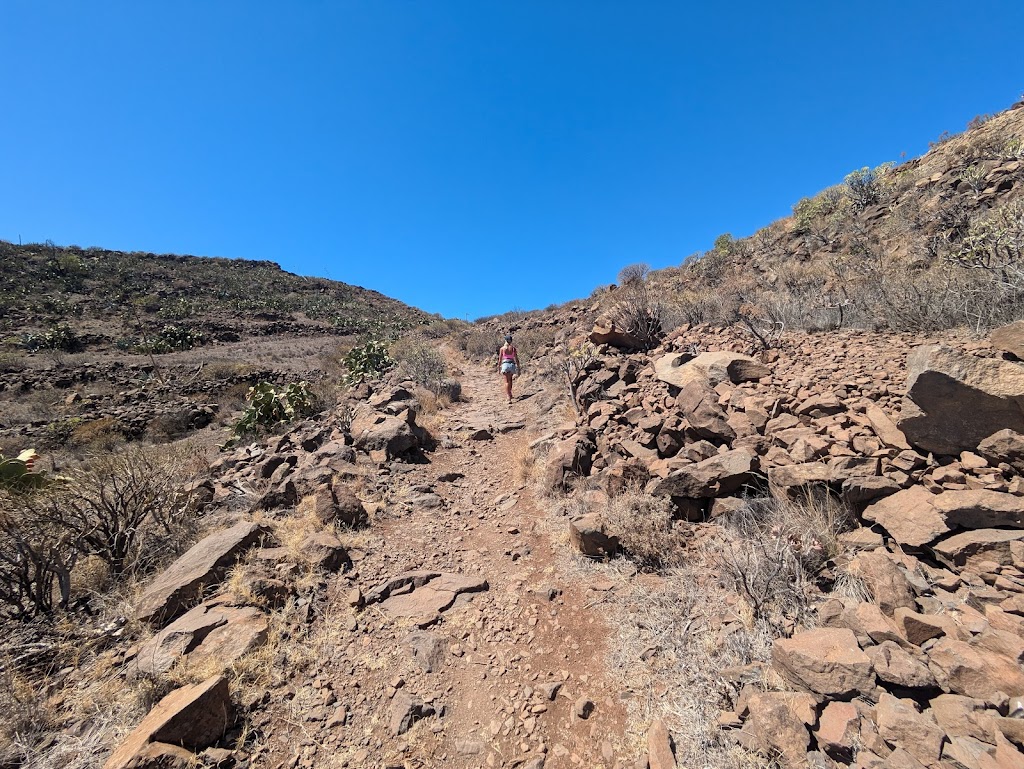 Camino Real Aguimes-Temisas