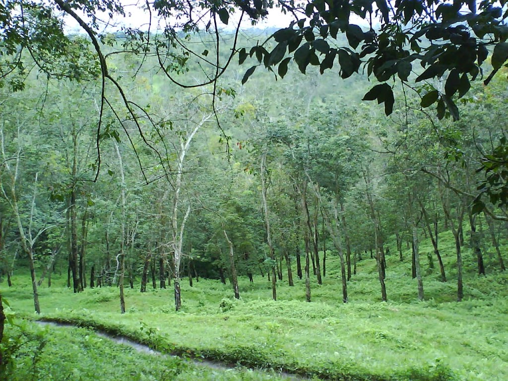 Viewpoint Boma Gunung Pasang