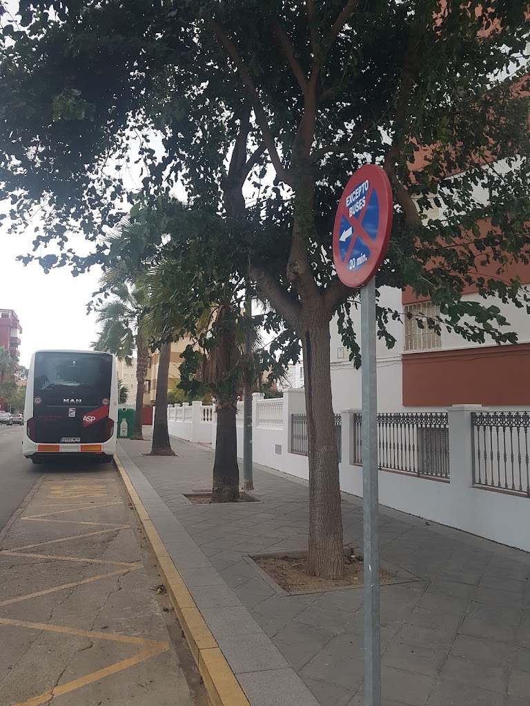 T Bus Chipiona, Faro con autorizacion