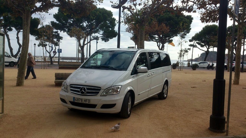 Taxi Jose Ligero 7 plazas