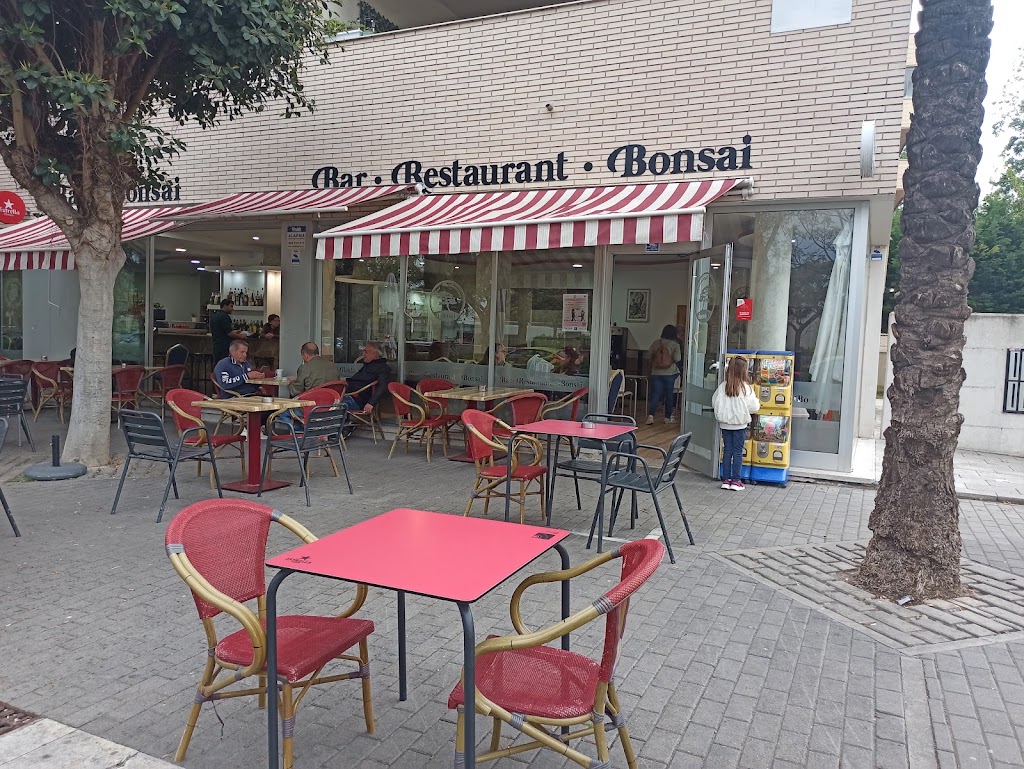Cafe Bonsai Bar — Ambiente
