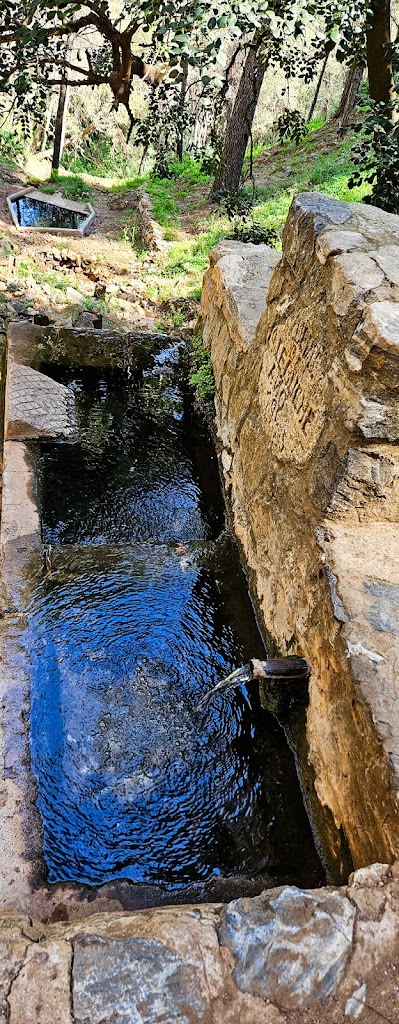 Fuente Del Acebuche
