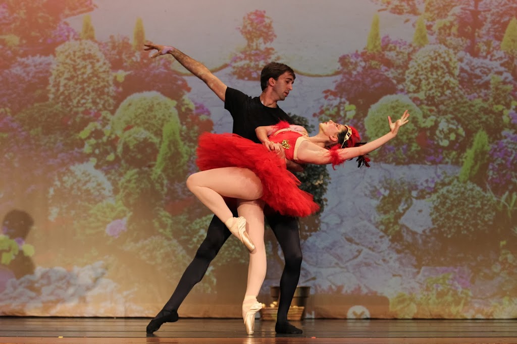  Academy of Ballet Arts