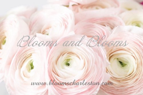 Blooms Charleston LLC