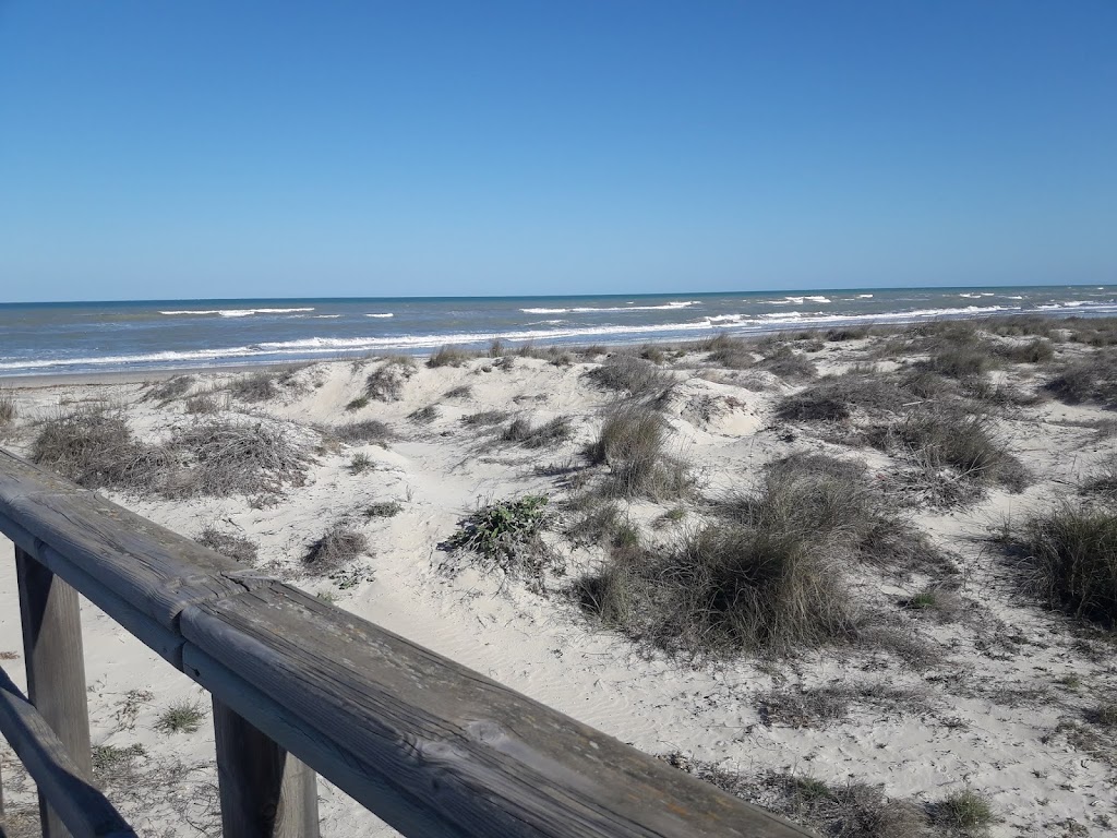 Flamencos de San Pedro del Pinatar — Pasarela a la playa