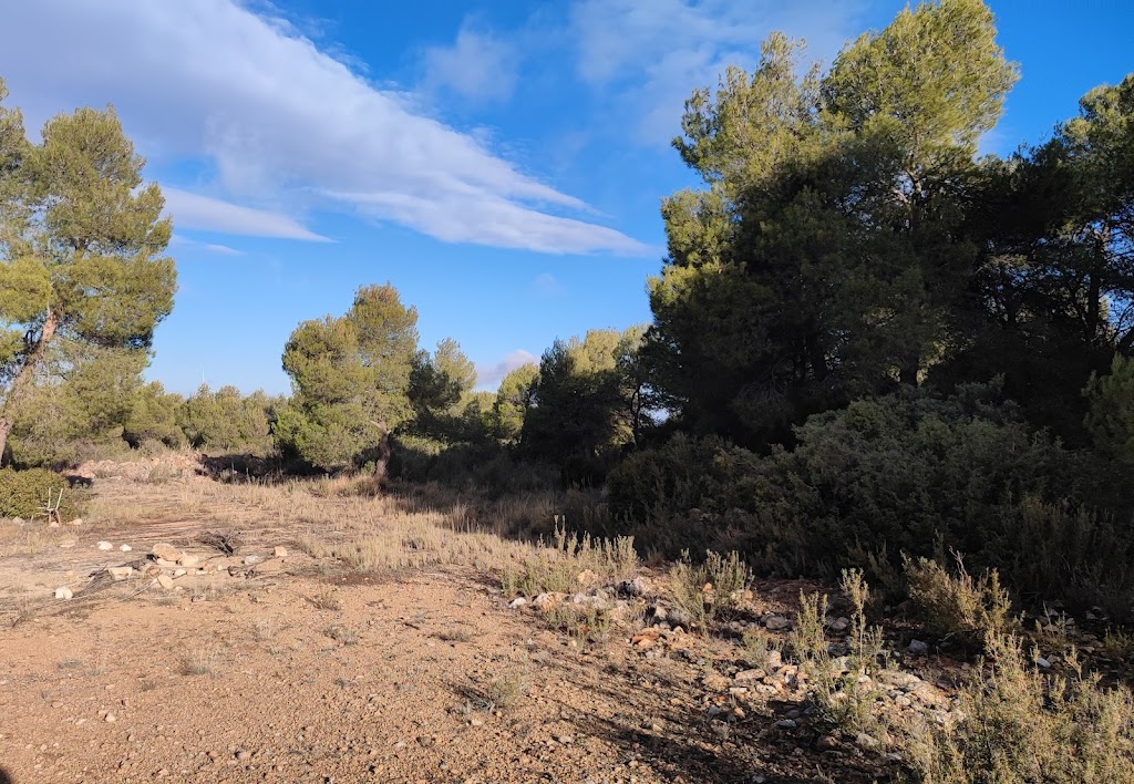 Ruta de las Casillas