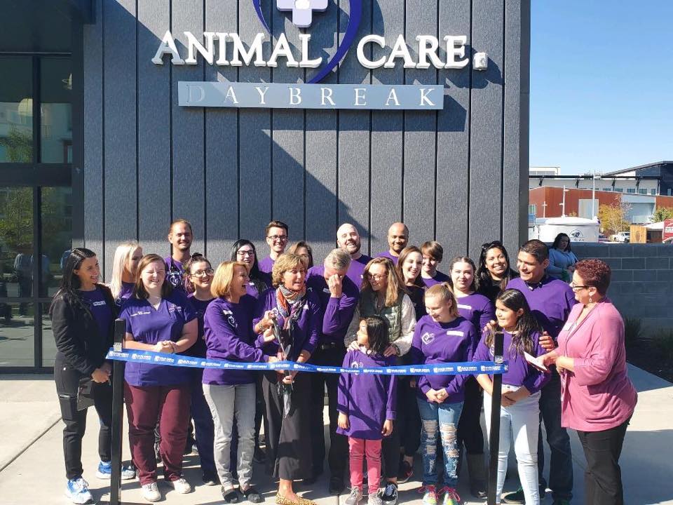 Animal hospital in South-Jordan