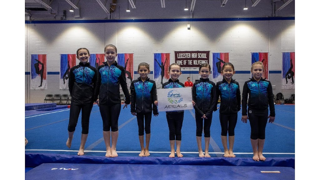  Aerials Gymnastics Newington