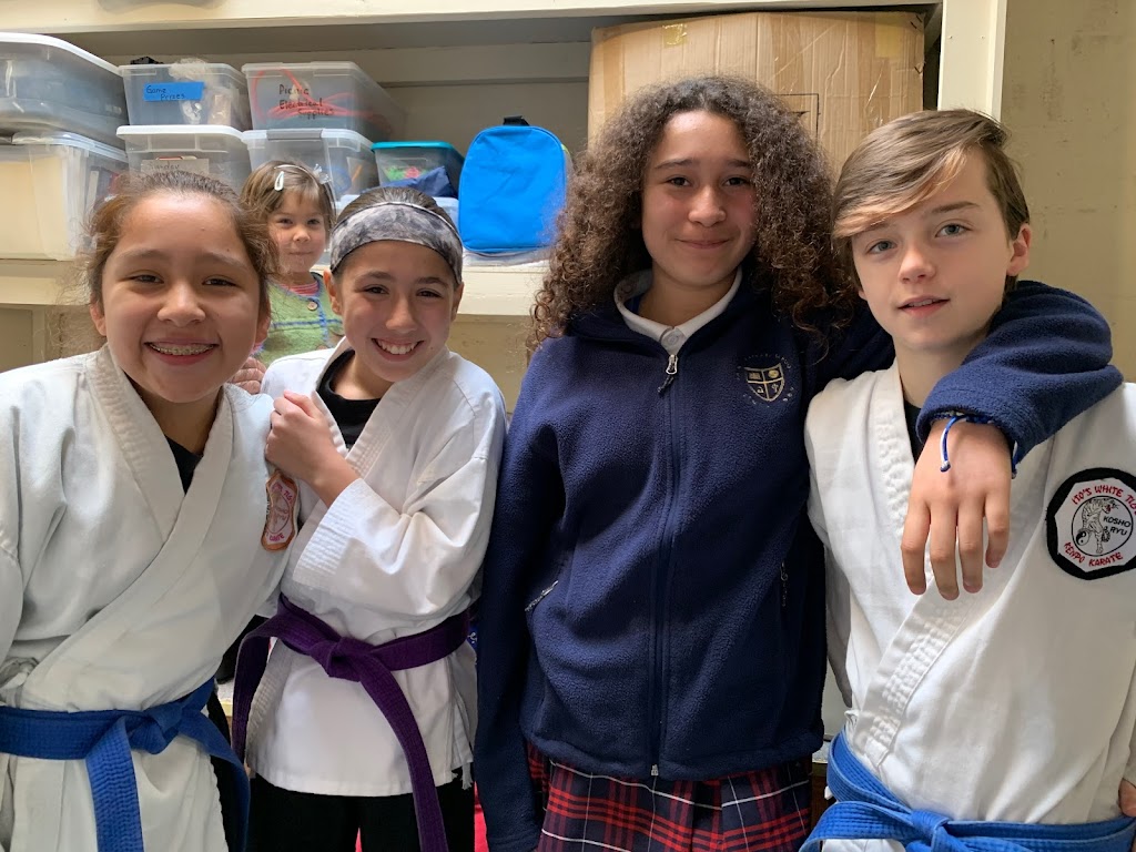  ITO'S WHITE TIGER KEMPO KARATE TAI CHI CHUAN