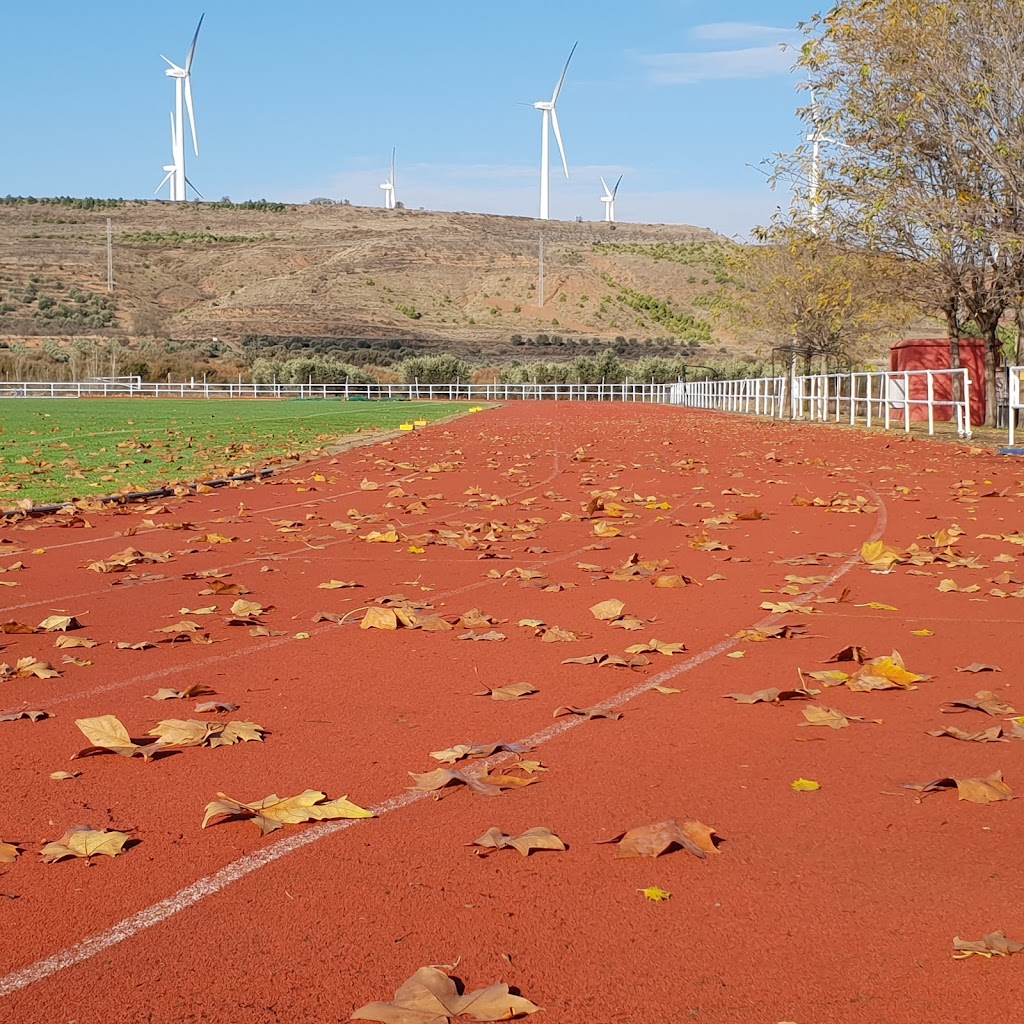 Pistas De Atletismo