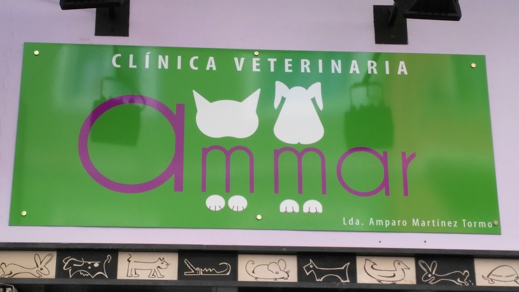 Clinica Veterinaria Ammar — Del propietario