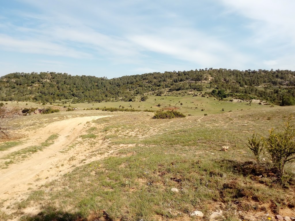 PNSC-S01 Sendero Dehesa de los Olmos (PR-CU104)