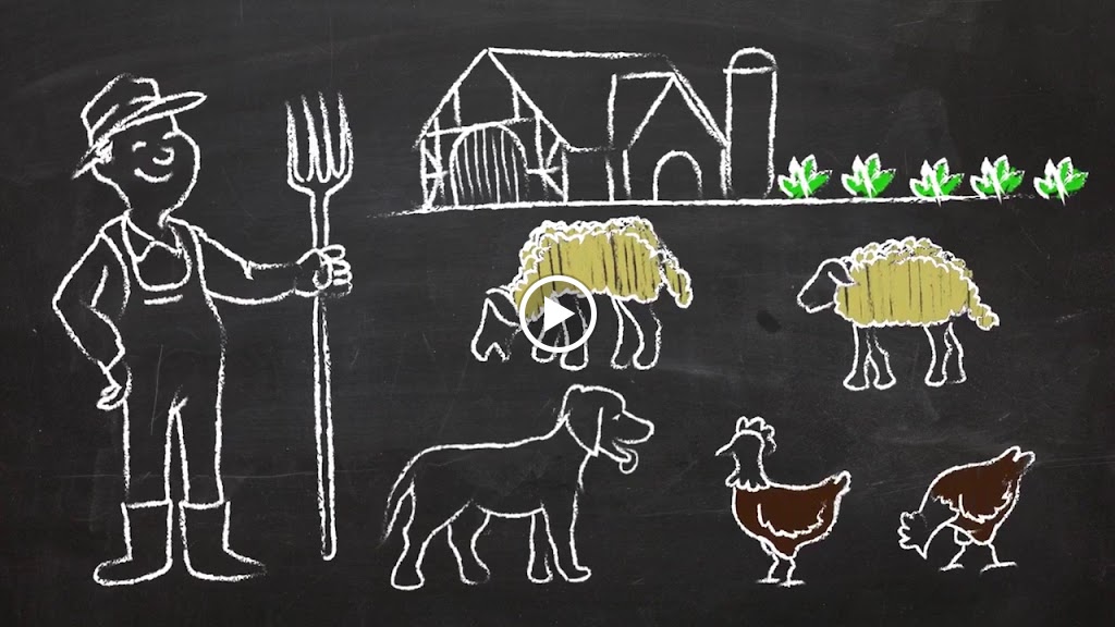 Clinica Veterinaria Hundesport canarias — Videos