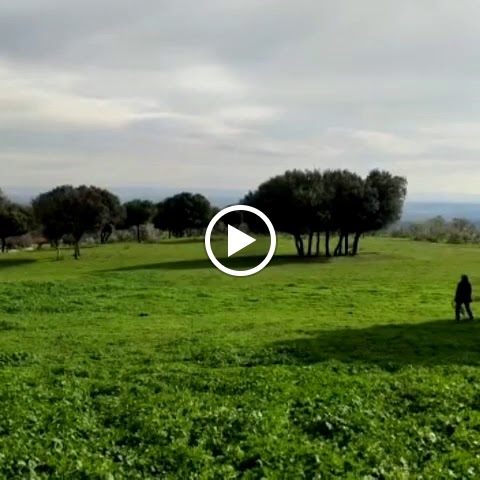 Centro Hipico Navalmelendro — Videos