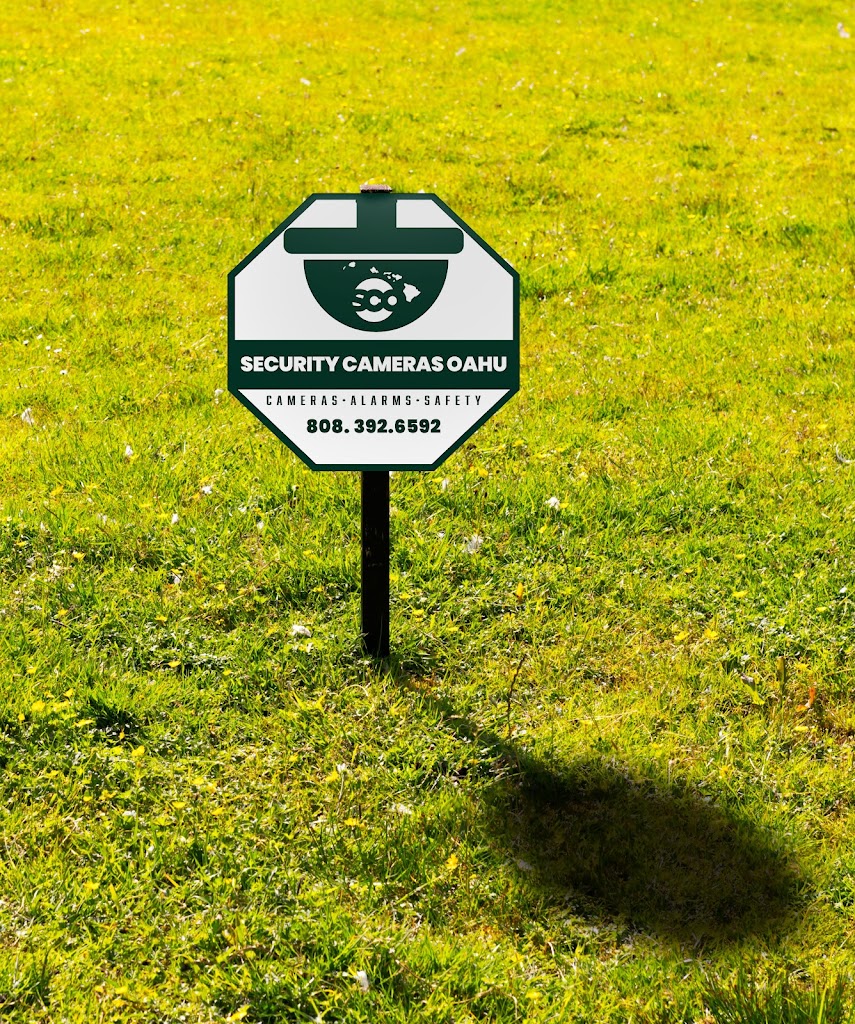 Antsy Ant Web Design